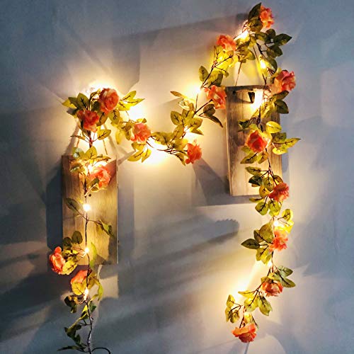 Riaxuebiy Künstliche Rose Blumen Lichterketten LED Blumen Reben Girlande 17 Blumen Fee Lampe Kranz Batterie Angetrieben für Weihnachten Hochzeitsfeier Dekoration (Champagner) von Riaxuebiy