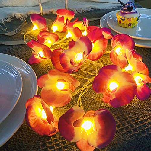 Riaxuebiy Künstliche Blumen Lichterkette,Phalaenopsis Lichterketten Lila Orchidee Girlande Batteriebetrieben Blumen Girlande Lichter für Erntedankfest,Halloween,Weihnachten,Party (3m/20led) von Riaxuebiy