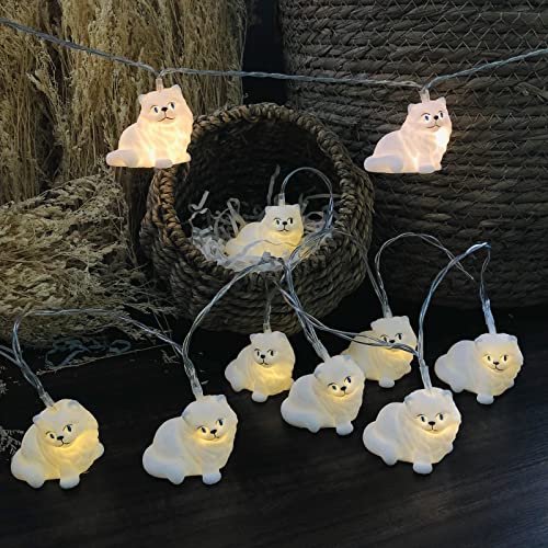 Riaxuebiy Niedlich Katze-Lichterkette, 3 m 20 LED Katze-Lichterkette, USB-betrieben, dekorativ für Innen- und Außenbereich, Schlafzimmer, Hochzeit, Party (3m/20led, Katze) von Riaxuebiy