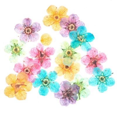 Füllmaterial für Resin Trockenblumen Bunt von Rico Design