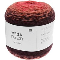 Mega Color von Rico Design