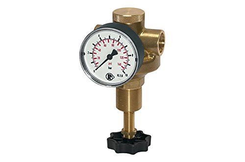 RIEGLER 101309-484.35 B Druckregler für Wasser, inkl. Manometer, G 1/2, 0,5-6 bar, 1Stk von Riegler