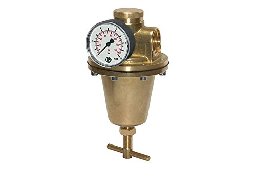 RIEGLER 101311-484.45 B Druckregler für Wasser, inkl. Manometer, G 1, 0,5-6 bar, 1Stk von Riegler