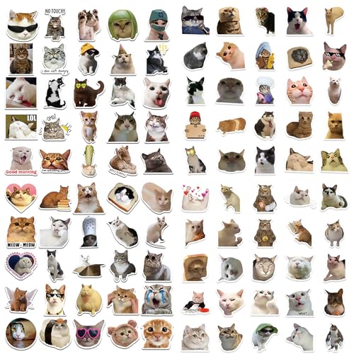 Katzen Sticker 100 Stück Lustige Sticker Katze Wasserfeste Cat Stickers Kreatives DIY für Laptop Mobiltelefone Skateboard Gepäck Etc Geeignet für Erwachsene und Kinder von Rienan