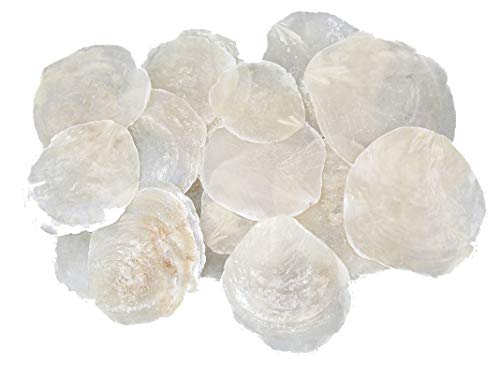 25 STK Perlmutt Scheiben Capiz Perlmuttscheiben Natur Weiss 7-11cm TISCHKARTEN Namenskarten Muschelscheiben runde Perlmuttplatten Maritime Deko Anker Ostsee Nordsee Muscheln von RiloStore