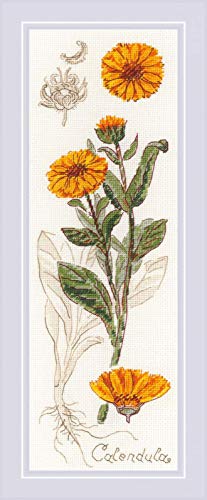 Riolis 1798 Kreuzstichpackung Calendula, Zählmuster Kreuzstich-Set, Baumwolle, mehrfarbig, 1030cm von Riolis