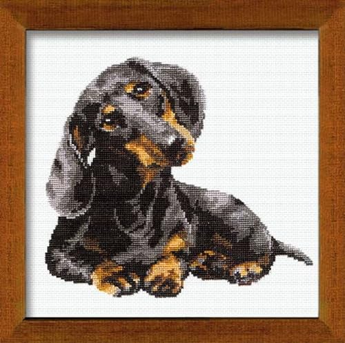 RIOLIS Kreuzstich-Set, Acryl Baumwolle, Mehrfarbig, Dachshund von Riolis