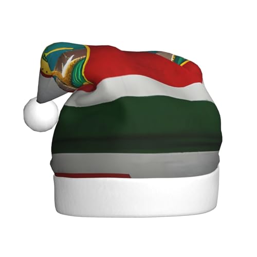 RoMuka Weihnachtsmütze mit Flagge von Hawaii, für Erwachsene, Plüsch, warm, geeignet für Weihnachten, Partyzubehör von RoMuka