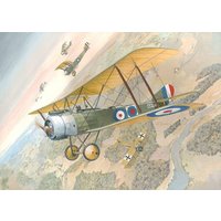 Sopwith 11/2 Strutter von Roden