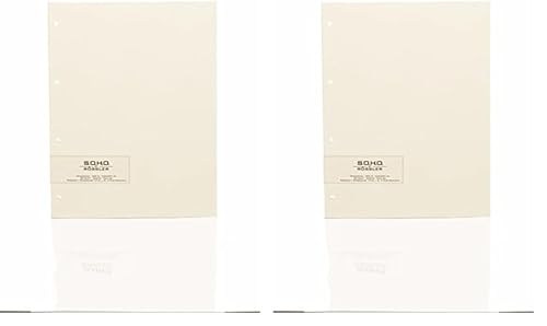 Rössler Papier 1321000008 - S.O.H.O. Fotokarton Chamois, Papierstärke 300 g/m², für 4-Ring-Mechanik, 20 Blatt (Packung mit 2) von Rössler Papier