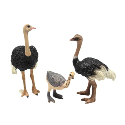 Ronyme 3-teiliges Vogelmodell, Tischdekoration, Wildtier-Vogelstatue, Modellsimulation, pädagogisches Lernspielzeug, Ornament, Wildtier-Vogelstatue für den von Ronyme
