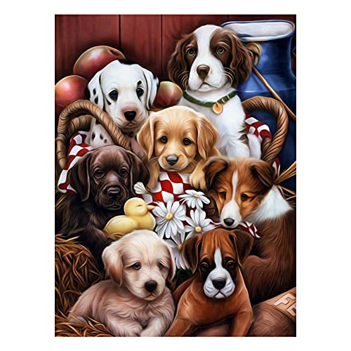 Diamond Painting Erwachsene Set Hund,DIY Diamond Painting Set,Süßer Hund 5D Diamant Painting Bilder Kinder,5D Diamond painting Tiere,Für Gifts, Wanddekor 30 * 40cm von Ropniik