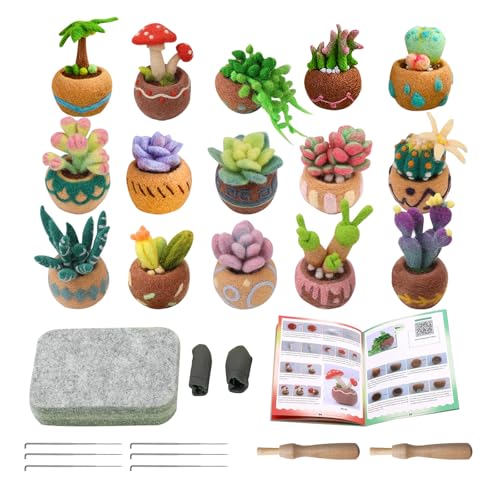 15 Stück Sukkulenten Pflanzen Nadelfilz Kit, Wollfilz Kit mit Pad, Fingerlinge, Nadel, Holzfilzwerkzeug, Anleitung, Nadelfilz Start Kit Supplies für Anfänger Erwachsene DIY (15 Stück) von Roucerlin