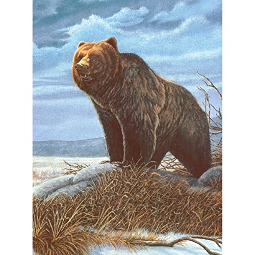 Royal Brush verschiedenen Junior kleine Malen nach Zahlen Kit 8.75-inch X 11.75-inch, Grizzly Bär von Royal Brush