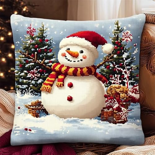 Rqwybcaxn Niedlicher Kissenbezug mit Schneemann-Stickerei,45x45 cm,quadratisch,dekorativer Kissenbezug,perfekt für Sofa und Heimdekoration von Rqwybcaxn