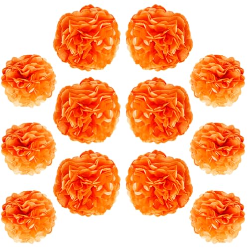 Ruidee 12 Stück Seidenpapier Pompoms 10in and 12in Papier Blumen Ball Dekorpapier Kit Papierblumen Pom Poms für Hochzeit,Geburtstage,Party Dekorationen (ZH/Orange) von Ruidee