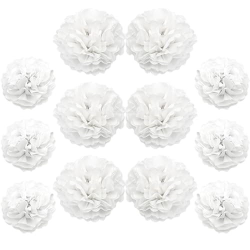 Ruidee 12 Stück Seidenpapier Pompoms 10in and 12in Papier Blumen Ball Dekorpapier Kit Papierblumen Pom Poms für Hochzeit,Geburtstage,Party Dekorationen (ZH/White) von Ruidee