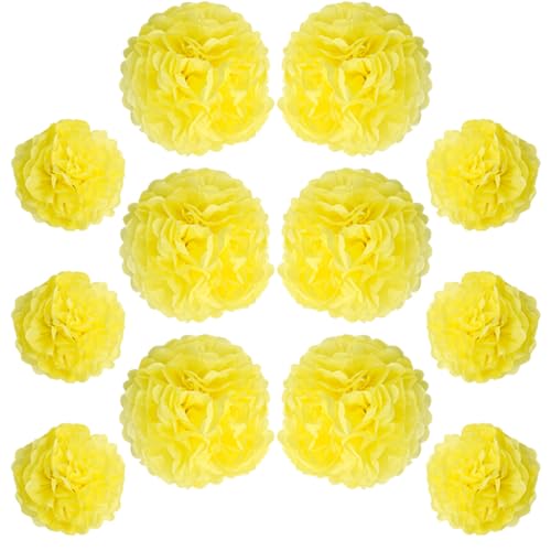 Ruidee 12 Stück Seidenpapier Pompoms 10in and 12in Papier Blumen Ball Dekorpapier Kit Papierblumen Pom Poms für Hochzeit,Geburtstage,Party Dekorationen (ZH/Yellow) von Ruidee