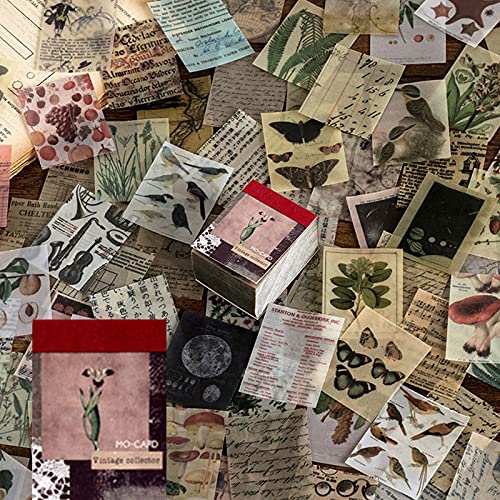 366 PCS Vintage Scrapbook Papier, Scrapbook Zubehör Papier Pergamentpapier Sticker Aesthetic Dekorative, Kunsthandwerk für die Kartenherstellung DIY Journaling Supplies von Runmeihe