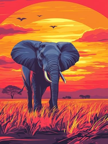 Elefant Malen Nach Zahlen Erwachsene Groß 30x40cm,Malen Nach Zahlen Afrika,Bastelset Set für Erwachsene,DIY Handgemalt Ölgemälde Leinwand Kit mit Pinseln Acrylfarben,Home Dekor Frauen Geschenk M-610 von Ruohuo