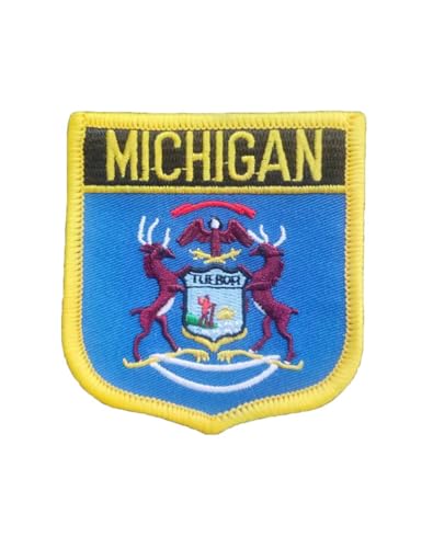 Ruoming 1 x Aufnäher mit Michigan-Flagge, zum Aufbügeln oder Aufnähen, bestickt, taktische Militär-Nationalstaatsflagge (Michigan) von Ruoming