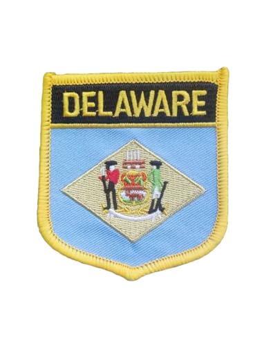 Ruoming Delaware Flaggenaufnäher zum Aufbügeln oder Aufnähen, bestickt, taktische Militär-Nationalstaatsflagge, 1 Stück (Delaware) von Ruoming