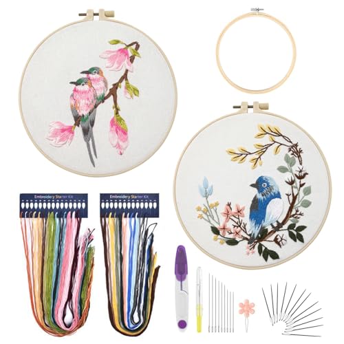 Ruzister 2 Sets Stickset für Anfänger, Kunsthandwerk, praktisches Nähset, Kolibri- und Blumen-Kreuzstich-Starter-Sets, DIY-Stickset mit Mustern und Anleitung, Rahmen von Ruzister