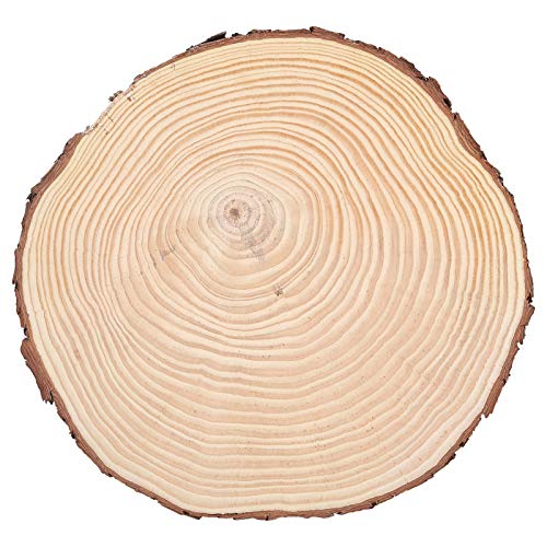Naturholzscheiben Zum Basteln, Unlackierte Holzkreise Mit Rinde, Unregelmäßige Holzornamente Für DIY-Projekte Und Rustikale Dekoration(22,5 * 23) von RvSky