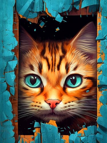 Rvhulwa 5D Diamond Painting Erwachsene Katzen Diamant Painting Bilder Kit für Erwachsene DIY Crystal Strass Stickerei Painting Diamond-Painting Kit für Home Büro Wall Dekoration 30x40cm von Rvhulwa