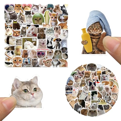 Lustige Katzen Sticker Set, 100 Stück Süße Aufkleber Tiere für Katzenliebhaber für Skateboard, Laptop, Koffer, Helm, Motorrad, Fahrrad, Handy von Rwoythk