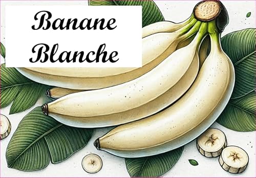 Banane-Blanche Etiketten aus Vinyl für Konserven, 52 x 75 mm, 12 Stück, selbstgemacht von S A F I R M E S