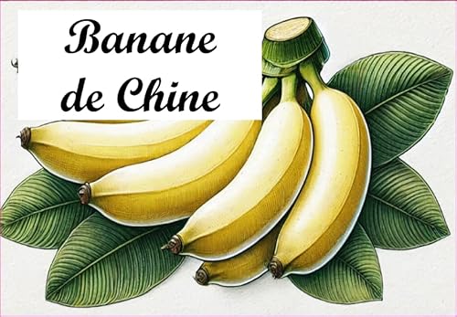 Banane-de-Chine Vinyl-Etiketten für Konserven, 52 x 75 mm, 12 Stück, selbstgemacht von S A F I R M E S