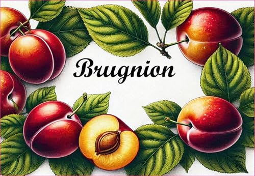 Brugnion Vinyl-Etiketten für Konserven, 52 x 75 mm, 12 Stück, hausgemacht von S A F I R M E S