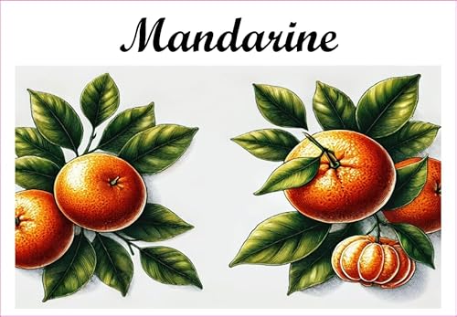 Mandarine Vinyl-Etiketten für Konserven, 52 x 75 mm, 12 Stück, hausgemacht von S A F I R M E S