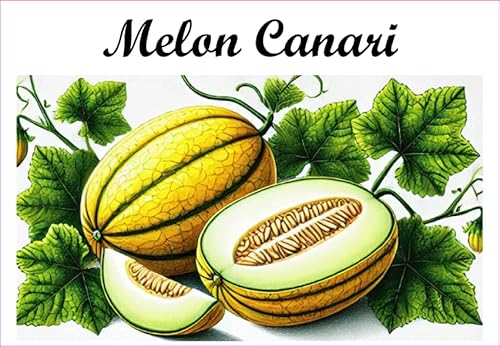 Melon-Canari-Etiketten aus Vinyl für Konserven, 52 x 75 mm, 12 Stück, hausgemacht von S A F I R M E S