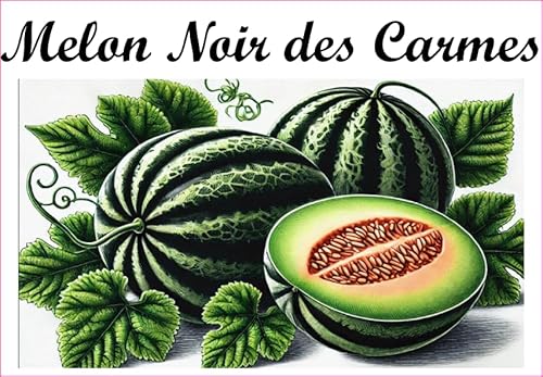 Melon-Noir-des-Carmes Vinyl-Etiketten für Konserven, 52 x 75 mm, 12 Stück, hausgemacht von S A F I R M E S