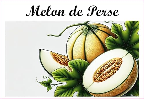 Melon-de-Perse Vinyl-Etiketten für Konserven, 52 x 75 mm, 12 Stück, hausgemacht von S A F I R M E S