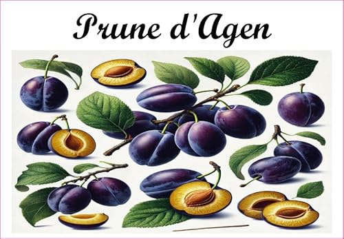 Pflaume-d'Agen Vinyl-Etiketten für Konserven, 52 x 75 mm, 12 Stück, selbstgemachte Marmelade von S A F I R M E S