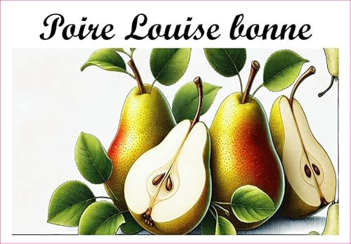 Poire-Louise-bonne Etiketten aus Vinyl für Konserven, 52 x 75 mm, 12 Stück, selbstgemachte Marmelade von S A F I R M E S