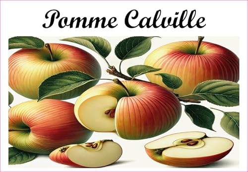 Pomme-Calville Vinyl-Etiketten für Konserven, 52 x 75 mm, 12 Stück, selbstgemachte Marmelade von S A F I R M E S