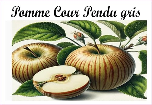 Pomme-Cour-Pendu-grau Etiketten aus Vinyl für Konserven, 52 x 75 mm, 12 Stück, hausgemachte Marmelade von S A F I R M E S