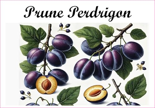 Prune-Perdrigon Etiketten aus Vinyl für Konserven, 52 x 75 mm, 12 Stück, selbstgemachte Marmelade von S A F I R M E S