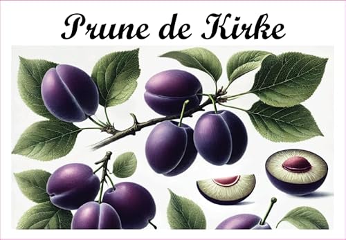 Prune-de-Kirke Etiketten aus Vinyl für Konserven, 52 x 75 mm, 12 Stück, selbstgemachte Marmelade von S A F I R M E S