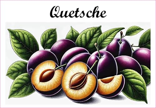 Quetsche Etiketten aus Vinyl für Konserven, 52 x 75 mm, 12 Stück, selbstgemachte Marmelade von S A F I R M E S