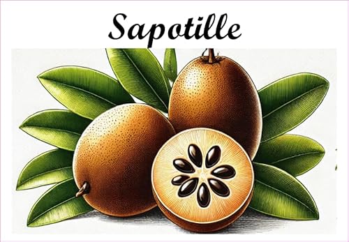 Sapotille Vinyl-Etiketten für Konserven, 52 x 75 mm, 12 Stück, selbstgemachte Marmelade von S A F I R M E S