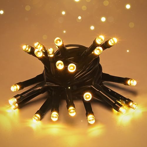 SALCAR LED Lichterkette Außen Batterie, 2M 20LED Christbaumbeleuchtung Außen, Wasserdicht Lichterkette für Innen Außen, Weihnachtsbaum, Garten, Partys, Warmweiß von SALCAR