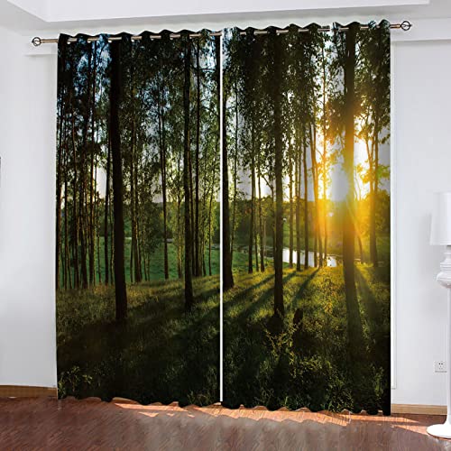 SATUSA Vorhänge Wohnzimmer Blickdicht Gardinen Verdunkelungsvorhang Schlafzimmer Kinderzimmer Thermovorhang Fensterdekoration 3D Wald Sonnige Landschaft Muster Ösenschal 2Er Set 200X160Cm von SATUSA