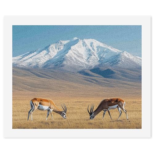 SCEBH Digitales Malen Für Erwachsene, Mount Kilimanjaro Anfänger-Set Für Digitale Malerei – Leinenleinwand Mit 3 Pinseln, Acrylfarbe, Ungerahmt von SCEBH