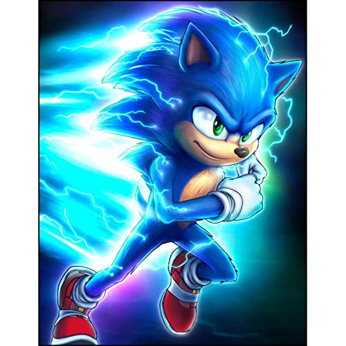 Sonicc The Hedgehog 5D Diamond Painting Set, Anime DIY Bilder Diamant Malerei Kits für Kinder, Anime Tiere Diamant Kunst Handwerk Bild Kit, Zahlen Diamond Painting Zubehör für Geschenke, Wand von SCOOVY