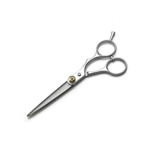 SDEFRGT Schere Edelstahl Barber Haar Schneiden Thinning Scissor Shears Hairdressing(Silber) von SDEFRGT